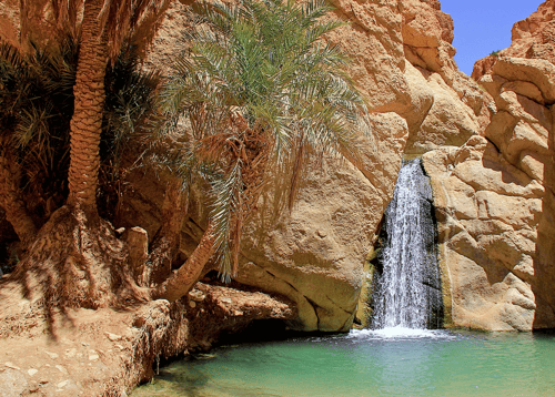 Tozeur Oasis